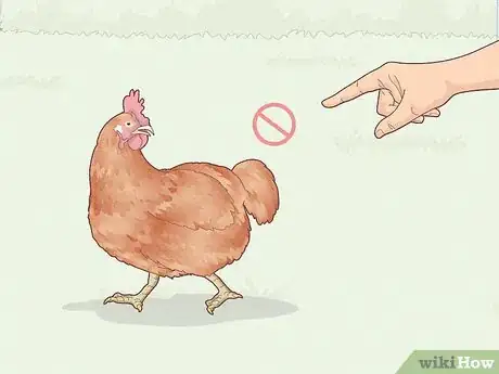 Image titled Earn Your Chicken's Trust Step 13