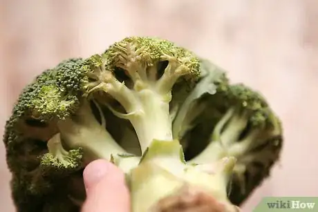 Image titled Select Broccoli Step 4