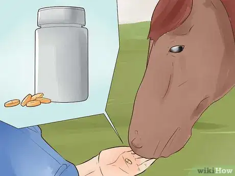 Image titled Treat Stomach Ulcers in Horses Step 8