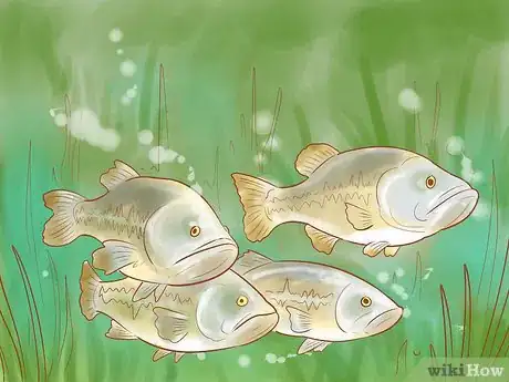 Image titled Fish a Jerkbait Step 9