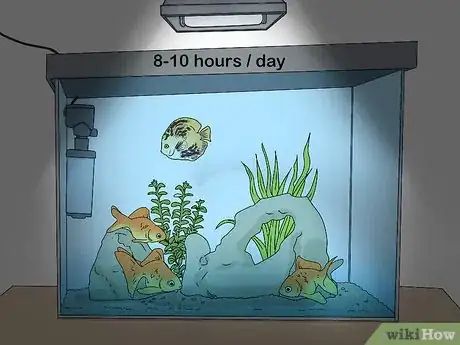 Image titled Lower Ammonia Levels in Your Fish Tank Step 10