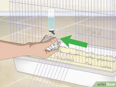 Image titled Supervise Hamsters Outside of the Cage Step 1