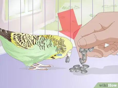 Image titled Feed Budgies Step 1