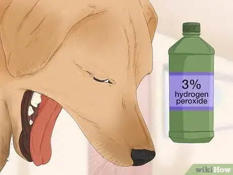 Image titled Get a Dog to Vomit Step 9