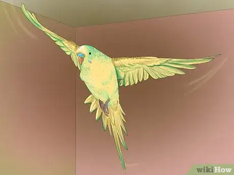 Image titled Take Care of a Budgie Step 16