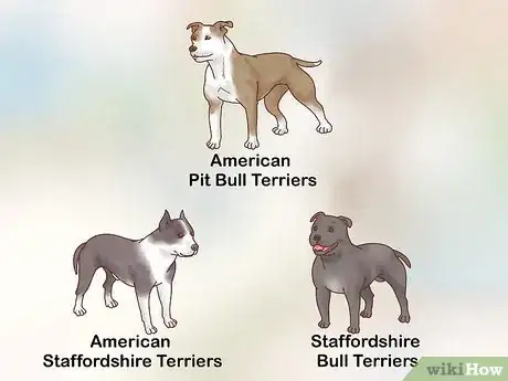 Image titled Breed Pit Bulls Step 3