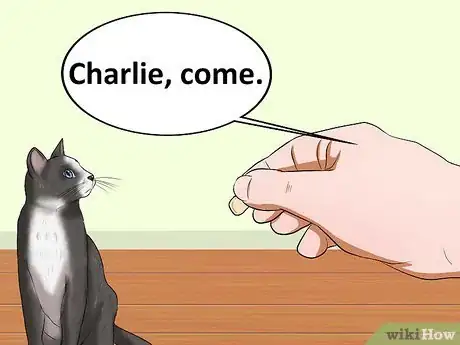 Image titled Teach a Cat to Recognize Its Name Step 6