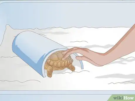 Image titled Diagnose Stomatitis in Tortoises Step 2