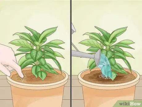 Image titled Revive a Plant Step 11