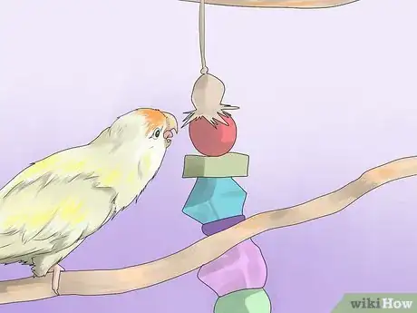 Image titled Make a Safe Environment for Your Pet Bird Step 8