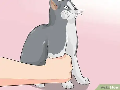 Image titled Give Your Cat Nose Drops Step 10