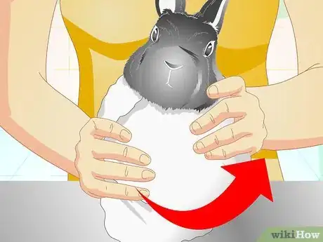Image titled Trim Your Rabbit's Nails Step 2