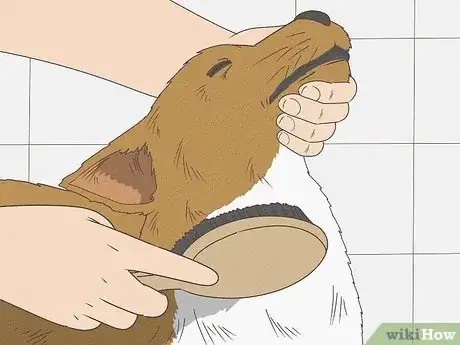 Image titled Give a Small Dog a Bath Step 17