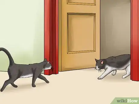Image titled Help Cats Become Friends Step 11