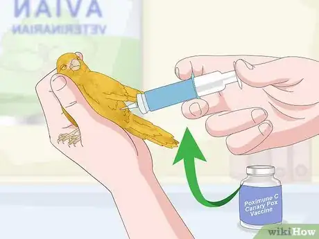 Image titled Treat Avian Pox in Canaries Step 16