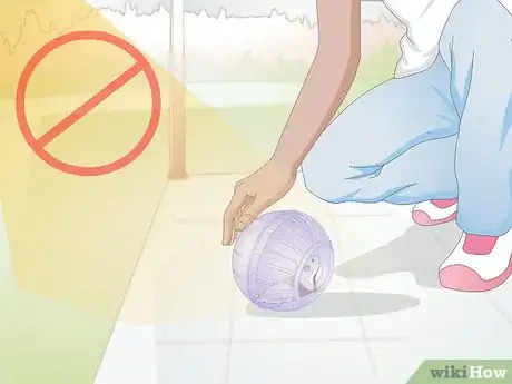 Image titled Use a Hamster Ball Step 4