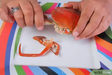 Image titled Crack a Crab Step 1