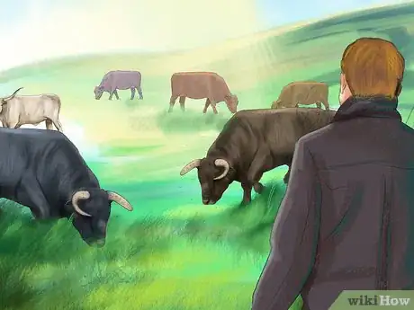 Image titled Avoid or Escape a Bull Step 1