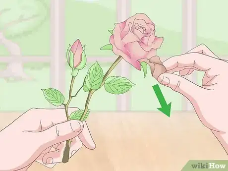 Image titled Make a Rose Bouquet Step 11