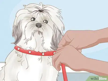 Image titled Stop a Dog from Humping Step 4