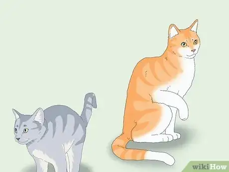 Image titled Get a Cat for a Pet Step 11