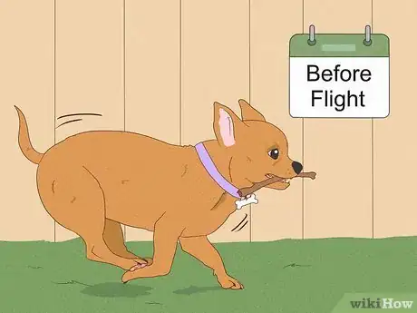 Image titled Prepare Your Dog for a Flight in Cabin Step 11