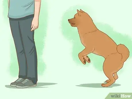 Image titled Stop a Dog from Jumping Up on Strangers Step 2