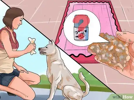 Image titled Rid Your Pet of Fleas Step 19