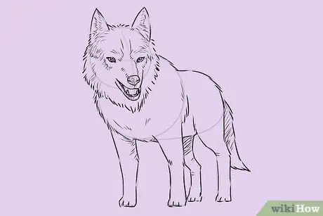 Image titled Draw a Wolf Step 17