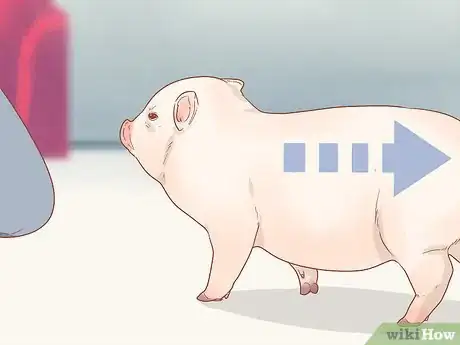 Image titled Train a Pig Step 13