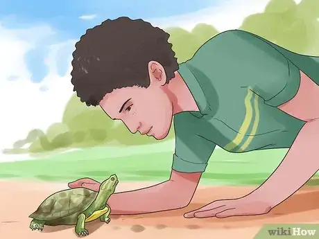 Image titled Pet a Turtle Step 1