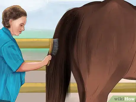 Image titled Use a Curry Comb on a Horse Step 13