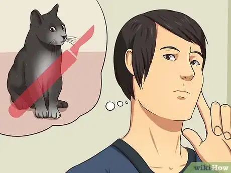 Image titled Remove Cat Urine Smell Step 15