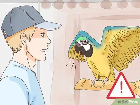 Image titled Keep a Pet Bird Quiet Step 8