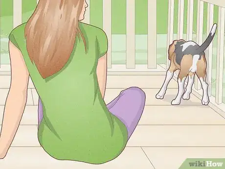 Image titled Stop a Dog's Unwanted Behavior Step 11