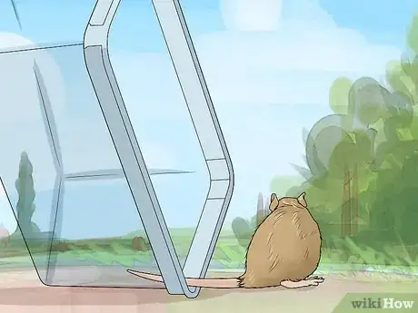 Image titled Remove a Live Mouse from a Sticky Trap Step 11