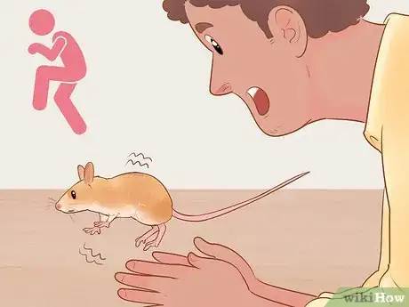 Image titled Avoid Frightening Your Pet Mouse Step 5