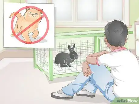 Image titled Earn Your Rabbit's Trust Step 1