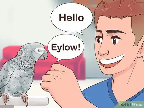 Image titled Encourage an African Grey Parrot to Speak Step 7