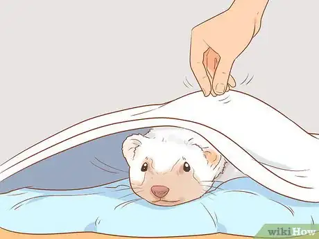 Image titled Play with a Pet Ferret Step 11