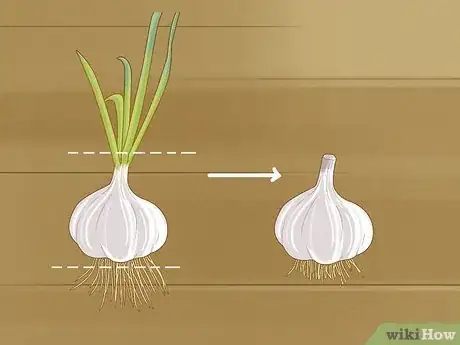 Image titled Grow Garlic Step 14