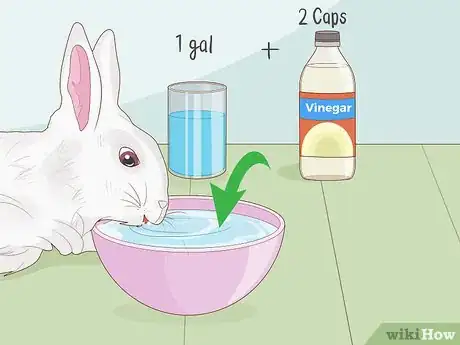 Image titled Care for a New Pet Rabbit Step 14