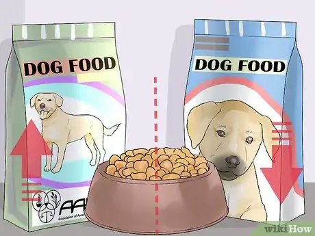 Image titled Treat Digestive Problems in a Dog You Just Adopted Step 17