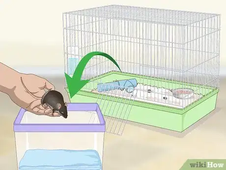 Image titled Clean a Mouse Cage Step 4