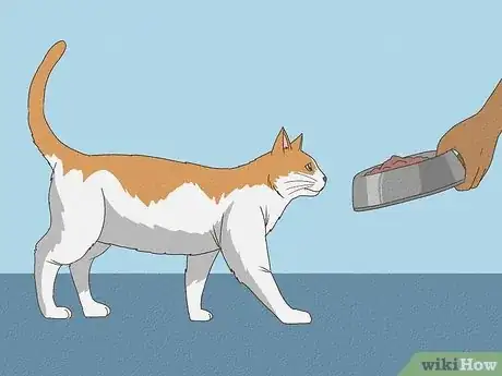 Image titled Teach Your Cat to Do Tricks Step 11