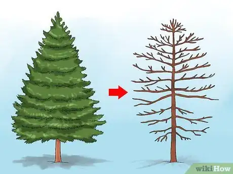 Image titled Prune Conifers Step 10