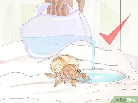 Image titled Make Hermit Crab Food Step 15