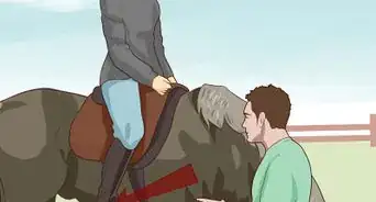 Break a Horse