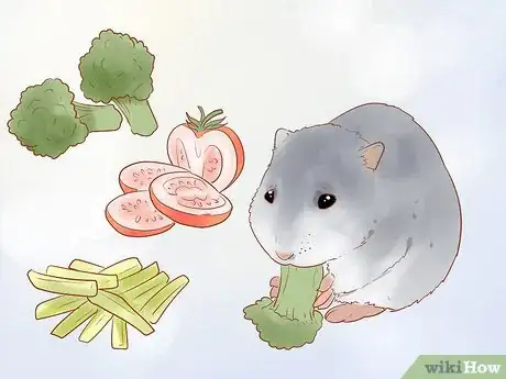 Image titled Care for Dwarf Hamsters Step 9