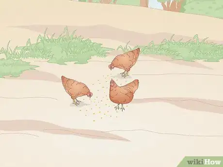 Image titled Catch a Chicken Step 4